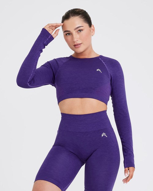 Amethyst Oner Active Effortless Seamless Long Sleeve Crop Top | 4165USQKT