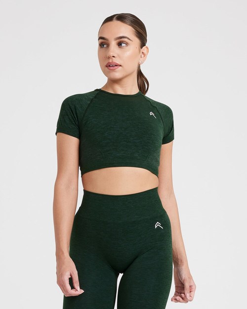 Evergreen Oner Active Effortless Seamless Short Sleeve Crop Top | 7081YRTWU