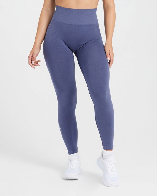 Slate Blue Oner Active Effortless Seamless Leggings | 6785TIBZK