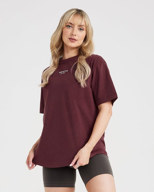 Washed Rosewood Oner Active Graphic Oversized Short Sleeve Tee | 1073FXHYQ