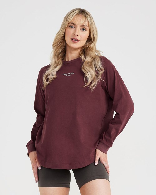 Washed Rosewood Oner Active Graphic Oversized Long Sleeve Tee | 6358DYRLF